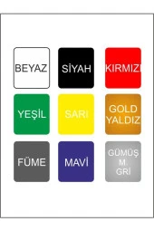 Ay Yıldız Solo Türk Sticker 30*28 Cm - 2
