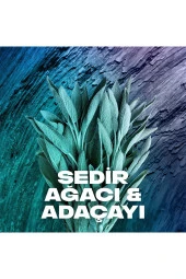 Erkek Deodorant Sprey Apollo 150 ml - 4