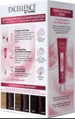 L'Oréal Paris Excellence Creme Saç Boyası 3 Koyu Kestane thumbnail 3