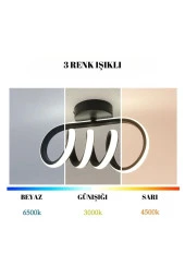 Livora Lighting Burgu Siyah Tavana Sıfır 3 Renk Işıklı Led Avize - 2