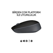 logitech M171 USB Alıcılı Kablosuz Kompakt Mouse - Siyah 910-004424 - 3