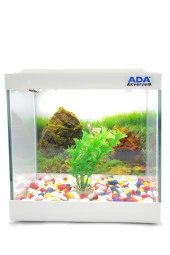 Mini Akvaryum Beyaz 20x20x15 Akvaryum  Renkli Çakıl  Plastik Bitki Arka Fon - 1