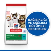 Hill’s SCIENCE PLAN Kitten Tuna Balıklı Yavru Kedi Maması 7 Kg thumbnail 2