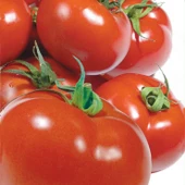 DOMATES Tohumu Yerli SC-2121 3 gram - 1