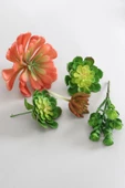 Yapay Succulent Sukulent Set - 5 - 1