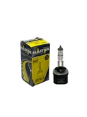 H27 12V 27W PG13 Düz Soketli Halojen Far Ampulü - 1