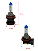 H8 12V 35W Halojen Sis, Far Ampulü - 2