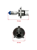 H4 12V 60/55W Eco (%30 Fazla Işık) Halojen Far, Sis Ampulü - 2