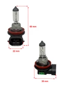 H11 12V 55W Sis, Far Ampulü - 2