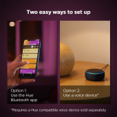 Philips Hue Iris Copper Special Edition - 5