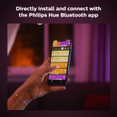 Philips Hue Iris Copper Special Edition - 6