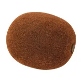 Euro Flora Dekoratif Yapay Kivi 6x7 Cm - 1