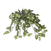 Euro Flora Yapay Sarmaşık Sygonıum Demet 42 Cm - 1