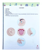 Limbik Yeni Keşifler Peşinde - 4