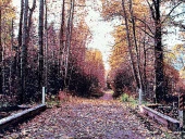 Sonbaharın Yolculuğu Adlı İran Tebriz Halı Tablo 126x76cm - Duvar Halı Kilim Tablo thumbnail 3