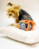 Cute Mickey Kemique's Secret Köpek İç Çamaşırı Regl Külot Don - 1