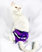 Modern Purp Kemique's Secret Kedi İç Çamaşırı  Regl Külot  Don - 1