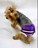 Modern Purp Kemique's Secret Köpek İç Çamaşırı Regl Külot Don - 7