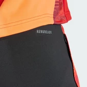 Adidas IP1879 Tiro24 C Tr Erkek Eşofman Altı - 8