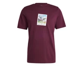 Adidas IS9045 M All Day I Tee Erkek Tişört thumbnail 4