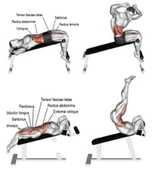 Proforce Emh 08 Eğimli Mekik Sehpası - 2