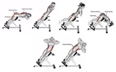 Proforce Emh12- 45 Derece Ters Mekik Sehpası- Kolay Montaj, Ayarlanabilir Yükseklik - 5