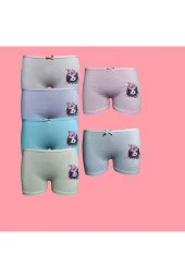 6 Lı Kız Çocuk Boxer thumbnail 3