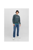 Jack&Jones Erkek Sweatshirt 12242366 - 3