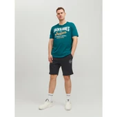 Jack&Jones Erkek Penye Şort 12229945 - 4