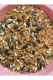 Lüks Taze Karışık Süper Papağan Yemi 10 Kg - 1