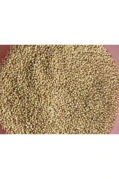 Lüks Taze Sade Muhabbet Kuşu Yemi 10 kg - 1