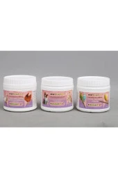 Elektrolit Muhabbet Kuşu Yemi, Kanarya Yemi, Güvercin Yemi 250 Gr - 2