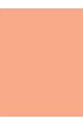 Allık - Baked Blush-on Touch Of Apricot 9 G 8690604082209 - 3