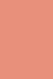Allık - Blush-On Pink Coral 6 g 8690604390939 - 2