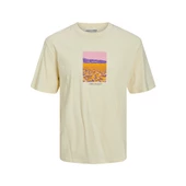 Jack&Jones Erkek T-Shirt 12230734 - 2