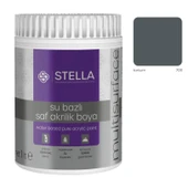 Stella Su Bazlı Saf Akrilik Boya Tortum Ral-7011 1 lt - 1