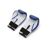 Can Sport Boks Eldiveni Iron Fist Mavi 10 Oz - 2
