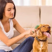 Kedi Köpek Bakım Yeşil Plastik Fırçası - 11