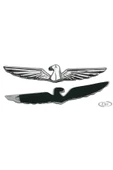 Araba Sticker Krom Kuş Model 2'li - 2
