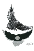 Araba Sticker Krom Kartal Model 2'li - 2