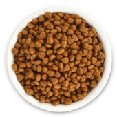 Jungle 15 kg Yavru Kedi Maması Tavuklu thumbnail 8