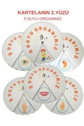 Montessori Okul Öncesi Öğreniyorum Eğitim Kartela Çark Seti 6 Farklı Tema - 4