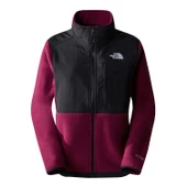 The North Face DENALI Polartec® Kadın Ceket NF0A7UR6KK91 thumbnail 1
