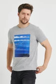 Erkek Baskılı T-shirt Gri Melanj thumbnail 10