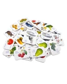 Bebeğimin İlk Hafıza Kartları - 2