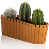 Poliwork 6 lı Akasya 5,5 cm Renkli Plastik Kaktüs Saksısı Triple - 2