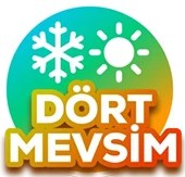 Nokian Tyres 215/60 R17 100V XL Seasonproof 1 Dört Mevsim (2025 Üretim) thumbnail 4