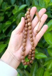 Tesbih 33 lük 10 mm Küre Kesim Hakiki Kuka Ağacı Çektikce Siyahlaşan Tespih - 2