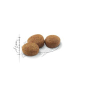 Royal Canin Sterilised 37 Kısırlaştırılmış Yetişkin Kedi Maması 15 KG SKT: 15/04/2025 - 3