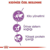 Royal Canin Sterilised 37 Kısırlaştırılmış Yetişkin Kedi Maması 15 KG SKT: 15/04/2025 - 7